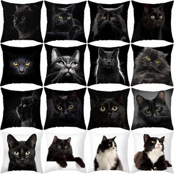 2026Shopee Cross-Border Pillowcase Cartoon Black Cat Print Peach Skin Animal Pillow Home Cushion Cover