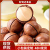 Macadamia Nut Cream Flavored Walnut Thin-Skinned Summer Fruit New Year's Nut Snacks Milky Macadamia Nuts