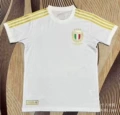 23-24 italy commemorative edition