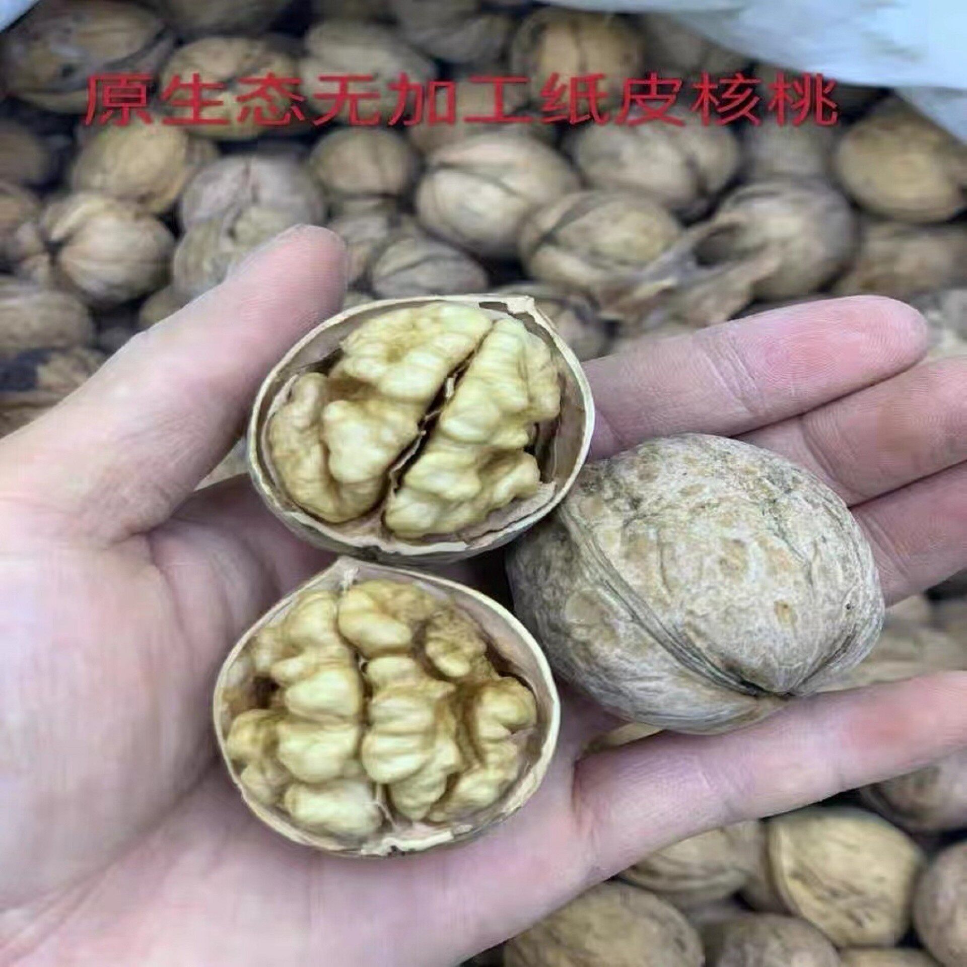 Wholesale 2025 Xinjiang Specialty Aksu Wenxu 185 Thin-Skinned Walnuts, Original Ecological, Easy to Open by Hand, 2.5kg Fragrant and Crispy