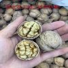 Wholesale 2025 Xinjiang Specialty Aksu Wenxu 185 Thin-Skinned Walnuts, Original Ecological, Easy to Open by Hand, 2.5kg Fragrant and Crispy
