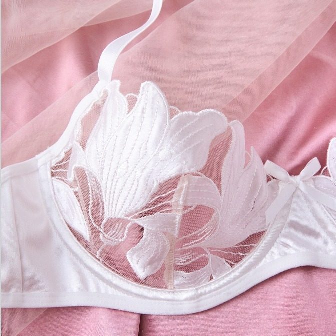 Europe and the United States small fresh flower embroidery sexy underwear sexy bra Amazon sexy suit ladies 23171