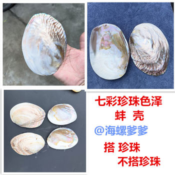Natural Shell Pearl Clam Shell Pearl River Clam Shell Polished Jewelry Crafts