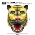 Tiger head