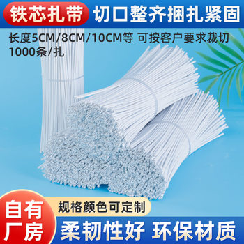 Round Galvanized Iron Wire 0.55mm Rubber-Coated Iron Wire Tie Strap Iron Core Tie Double-Sided Flat Tie