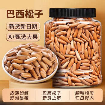 New Arrival Net Weight Brazilian Pine Nuts Canned Thin Shell Easy to Peel Hand Peeled Original Pine Nuts Crispy Roasted Seeds and Nuts Snacks Wholesale