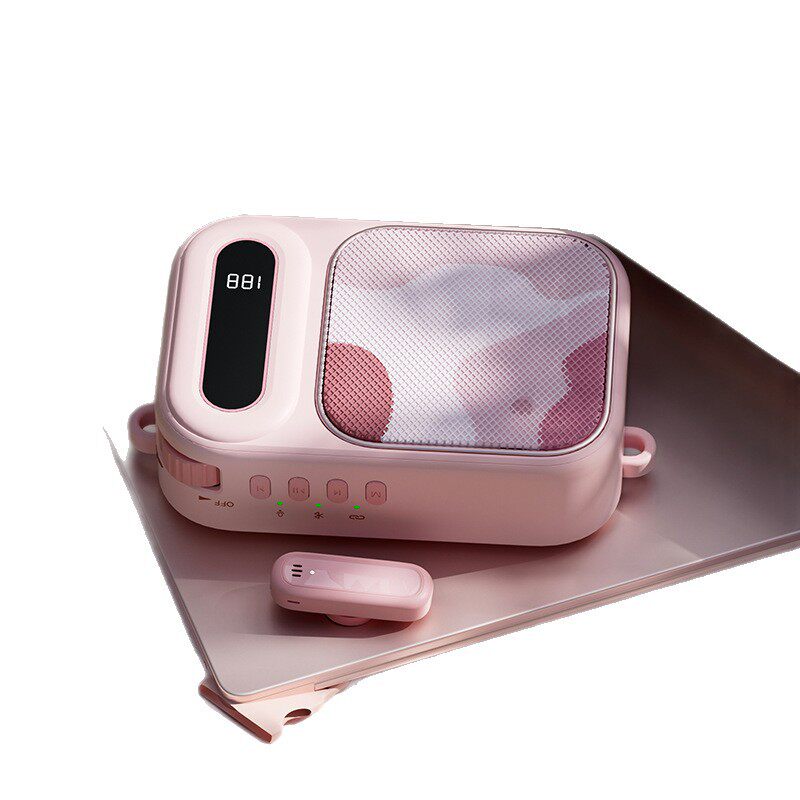 New Bluetooth Mini Teacher Bee Portable Amplifier