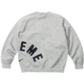 E542 gray (nk sweatshirt)