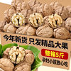 Thin-skinned Walnut Wholesale Price Yunnan Thin-skinned Raw Walnut with Shell Original Bulk Wholesale Nut Snacks New Walnut