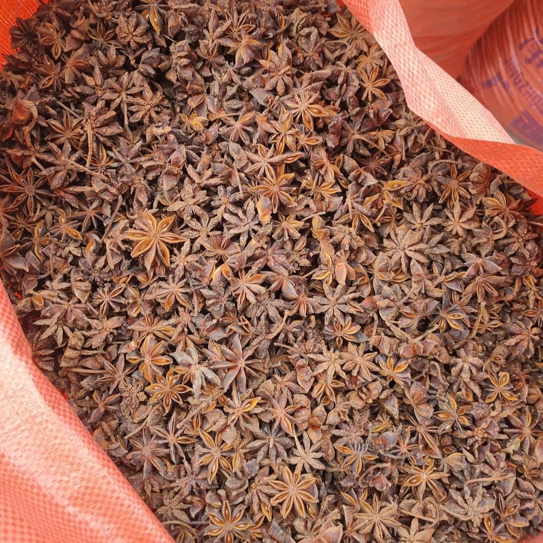 Authentic Guangxi Star Anise Seasoning, New Stock, Sulfur-Free, Fully Dried, Cooking Specialty, Star Anise for Stewing Meat and Making Soup, Organic Spice