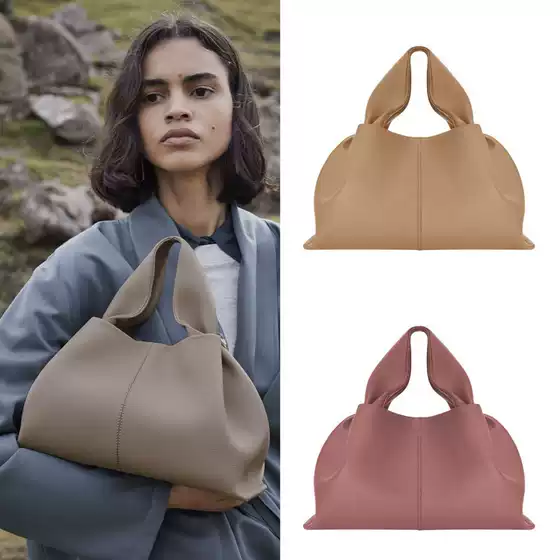 Polene Dumpling Cloud Bag Women's 2025 New French Niche Design Handbag Cross-border Leather Bag