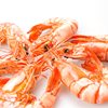 Light Dry Roasted Dried Shrimps Ready-To-Peel Dried Shrimps Dried Seafood Manufacturers Wholesale Large Roasted Dried Shrimps