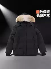 Big Goose Downjacket Wyndham Big Goose down Jacket 29 Winter Men's 3808m Wyndham