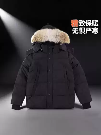 Big Goose Downjacket Wyndham Big Goose down Jacket 29 Winter Men's 3808m Wyndham