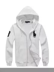 Cross-Border Zipper Sweatshirt Men's Autumn Hoodie Heavyweight Trendy Brand New Pony Logo Embroidered Men's Cardigan Sweatshirt Jacket