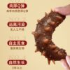 Manufacturer Wholesale Sea Cucumber Dalian Sea Cucumber Wild Sea Cucumber Sea Cucumber Sea Cucumber Non-Light Dried Sea Cucumber Fresh Ready-To-Eat Sea Cucumber