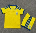 2627 ukraine home kit