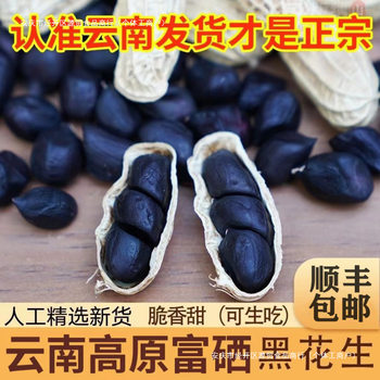 [Free Shipping] Yunnan Specialty 2024 Fresh Shelled Selenium-Rich Black Peanuts New Arrival Bagged