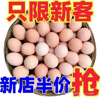 Whole Box of 4 Rustic Eggs, 10 Pieces, Wholesale Fresh Free-Range Eggs from Farm
