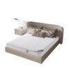 Spring Mattress 20mm Thick 1.8m Economical Double Firm 1.5 Bed Soft and Hard Dual-Use Coconut Palm Mattress Simmons