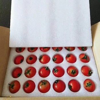 Stretchable and Shrinkable Epe Pearl Cotton Strawberry Lotus Mist Fruit Lining Packaging Box Shockproof Sponge Foam Tray
