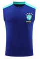 25 brazilian blue shoulder