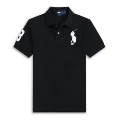Black and white horse