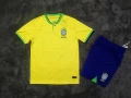 Suit: 2022 world cup brazil host
