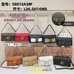 2025 New Small Bag Women's Bag Internet Popular Korean Cross-border Women's Shoulder Bag Crossbody Bag C Foreign Trade Women's Bag