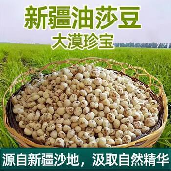 Wholesale Xinjiang Oil Beans, Underground Walnuts, Nutritious Fresh Oil Beans, Highly Nutritious and Healthy Oil Beans, Bean Snacks