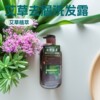 Bameixi Mugwort Anti-Dandruff Purifying Shampoo 800ml Oil Control Moisturizing Silky Plant Extract Refreshing Oil Control