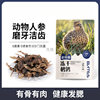 Freeze-Dried Quail Snacks for Young Cats and Dogs, Teething Snacks, Nutritious Supplements for Weight Gain and Gills, Pet Food, Ginseng Fruit