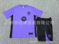 Barcelona purple