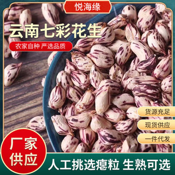New Yunnan Colorful Peanut Dried with Shell Raw and Ripe Colorful Peanut Colorful Wild Peanut Wholesale Factory in stock