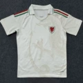 26-27 wales away game