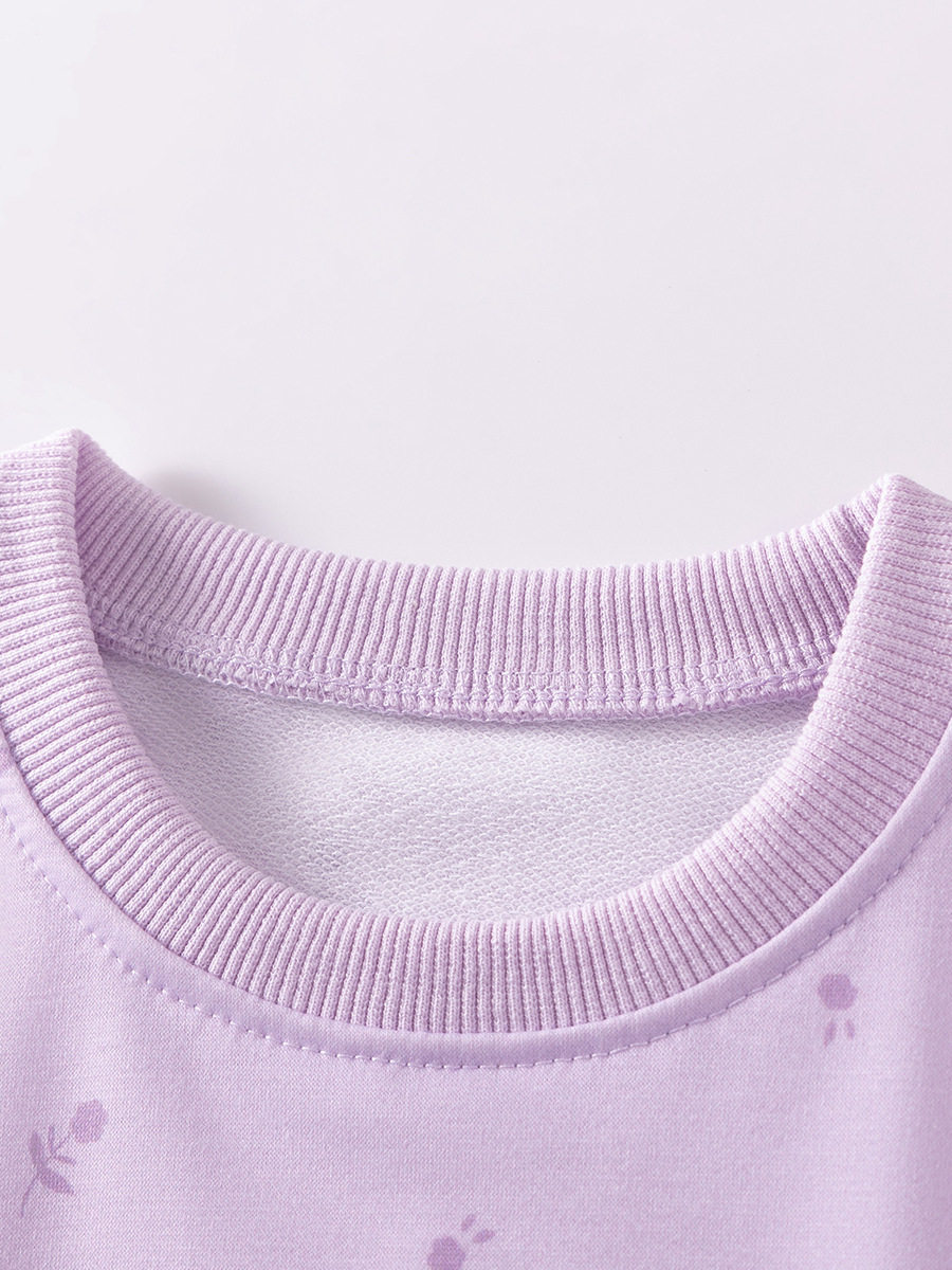 Grosir Pakaian Anak Produsen Sumber, Set Anak Perempuan Lengan Panjang Musim Gugur, Set Anak Hiasan 3D Lucu