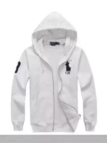 Cross-Border Zipper Sweatshirt Men's Autumn Hoodie Heavyweight Trendy Brand New Pony Logo Embroidered Men's Cardigan Sweatshirt Jacket