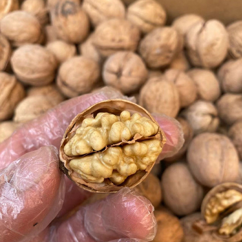 Roasted Milky Pepper Salt Five-Spice Walnuts Xinjiang Aksu 185 Paper-Skinned Walnuts 2024 New Arrival Hand-Peeled Creamy Flavor