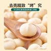 [Special Offer] New Arrival Macadamia Nut Milk Flavor Shellless Nuts and Dried Fruits Baking Ingredients Casual Snacks