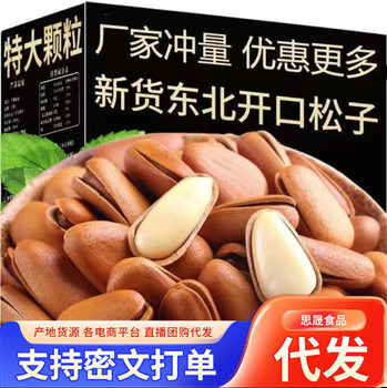 Wholesale Delivery of Northeastern Pine Nuts in Bags, Large Capsules, Original Flavor, Wholesale New Nuts, Dried Fruit Snacks, Pine Nuts