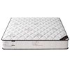 Simmons Mattress Economical Thick Household Spring Latex Coconut Palm Soft and Hard Dual-Use Silk Flower Whole Mesh Spring-Free