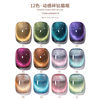 Dynamic Crushed Diamond Cat's Eye Nail Polish Glue 2025 New Flash Cat's Eye Set Full Set for Nail Salons