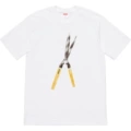 386-White