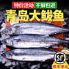 Sf Free Shipping 2.5kg Qingdao Big Spanish Mackerel Fresh Frozen Spanish Mackerel Fresh Seafood Fish Spanish Mackerel Stuffed Salted Spanish Mackerel