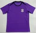 2526 Corinthians Purple