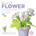 Daisy potted 189pcs "boxed 9x 4.5x 12cm]