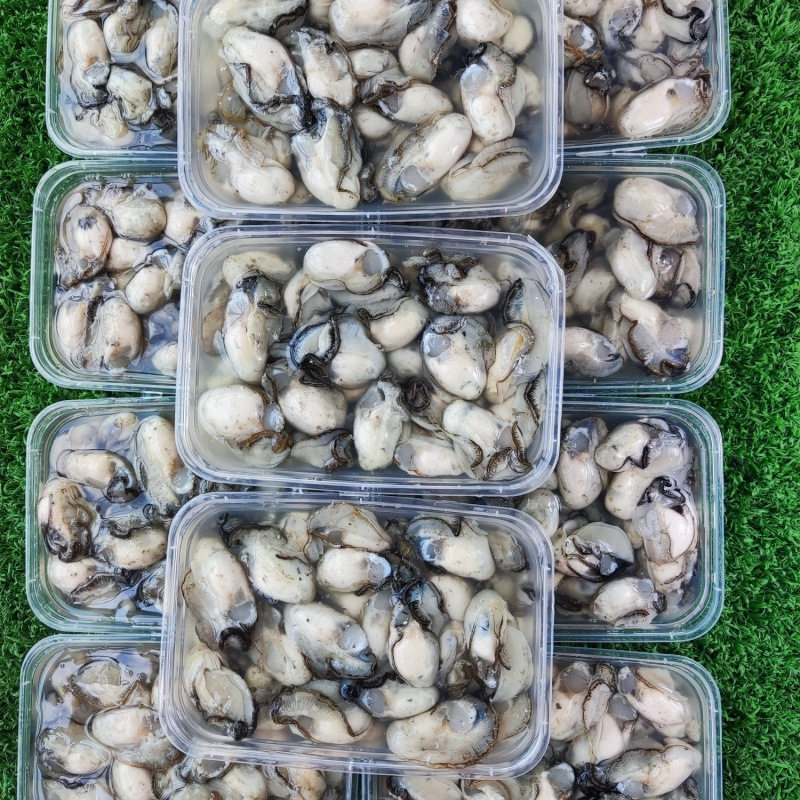 Freshly Caught and Peeled Oysters from Fujian, No Soaking, Small Sea Oyster Meat, Fresh Oyster Pancakes