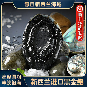 New Zealand Black Gold Abalone Frozen Abalone Fresh Fresh Frozen Aquatic Products Japanese Sashimi Abalone Seafood Japanese Food Wholesale