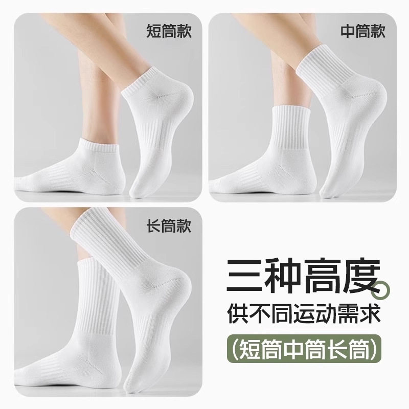 100%新疆棉袜子男夏季薄款中筒男袜吸汗防臭棉袜男士纯棉袜子女款