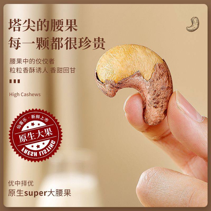 Cashew Nuts with Skin Original Salt Baked Nuts Fried Snacks Large Granules Vietnam Specialty Purple Cashew Nuts Wholesale in Bulk